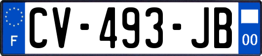 CV-493-JB