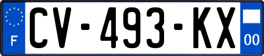 CV-493-KX