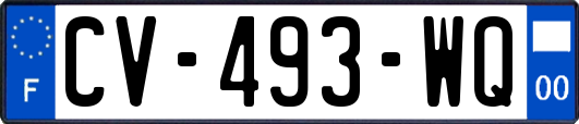 CV-493-WQ