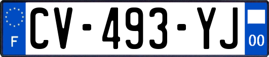 CV-493-YJ