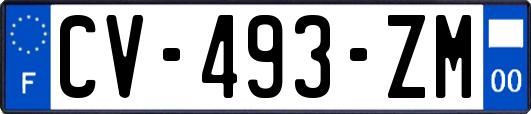 CV-493-ZM