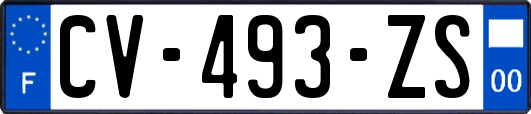 CV-493-ZS