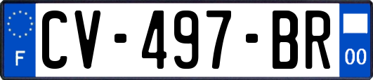 CV-497-BR