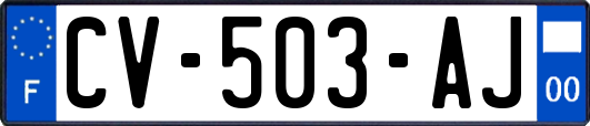 CV-503-AJ