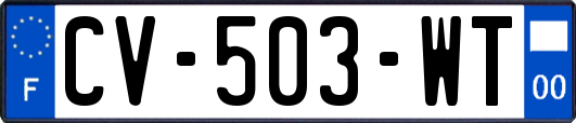 CV-503-WT