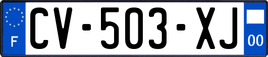 CV-503-XJ