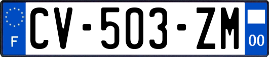 CV-503-ZM