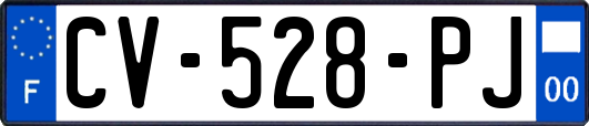 CV-528-PJ