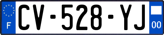 CV-528-YJ