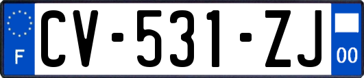 CV-531-ZJ