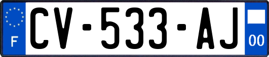 CV-533-AJ