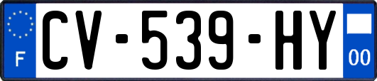 CV-539-HY