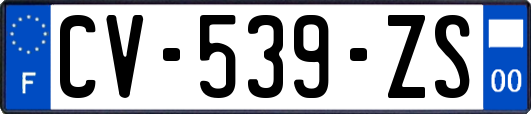 CV-539-ZS