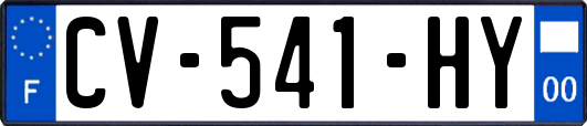 CV-541-HY