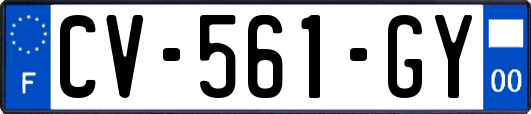 CV-561-GY