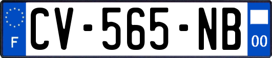 CV-565-NB