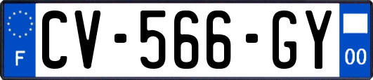 CV-566-GY