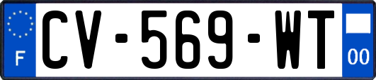 CV-569-WT