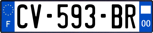 CV-593-BR