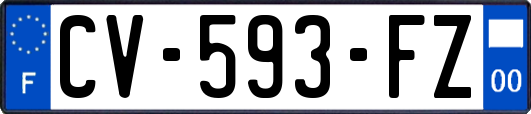 CV-593-FZ