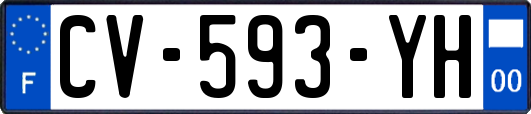 CV-593-YH