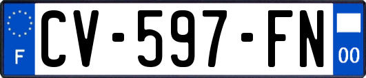 CV-597-FN