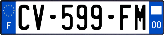 CV-599-FM