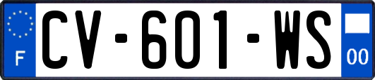CV-601-WS