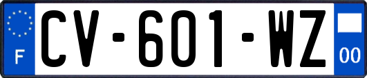 CV-601-WZ