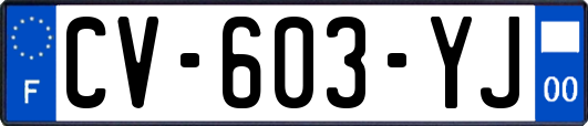 CV-603-YJ