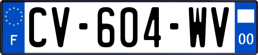 CV-604-WV