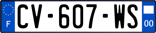 CV-607-WS