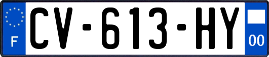 CV-613-HY