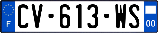 CV-613-WS