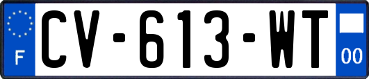 CV-613-WT