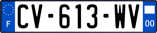 CV-613-WV