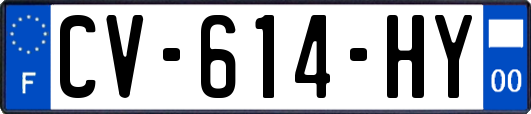 CV-614-HY