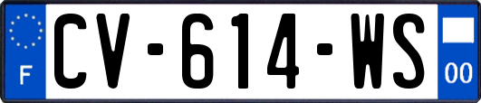 CV-614-WS