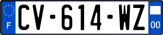 CV-614-WZ