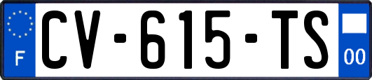 CV-615-TS