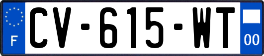 CV-615-WT