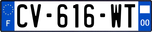 CV-616-WT