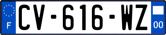 CV-616-WZ