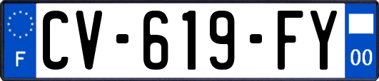 CV-619-FY