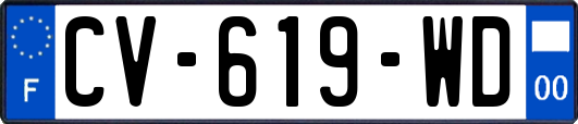 CV-619-WD