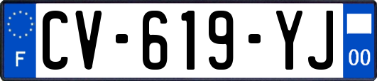 CV-619-YJ