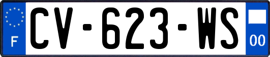 CV-623-WS