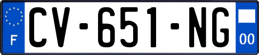 CV-651-NG