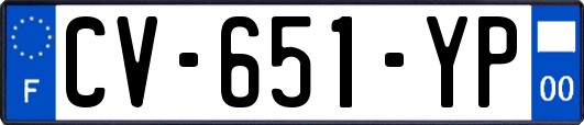 CV-651-YP