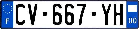 CV-667-YH